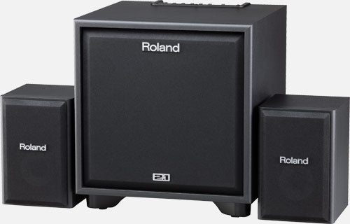 Roland Cube Monitor CM220