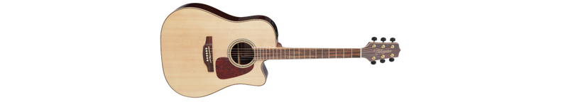 Takamine AC/EL Dread Nat