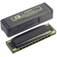 Hohner Pro G Harmonica