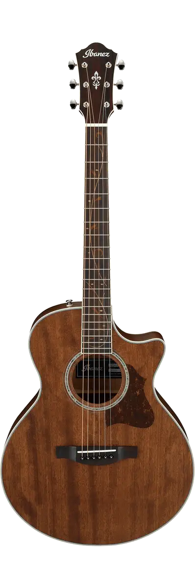 Ibanez AE245JR OPN