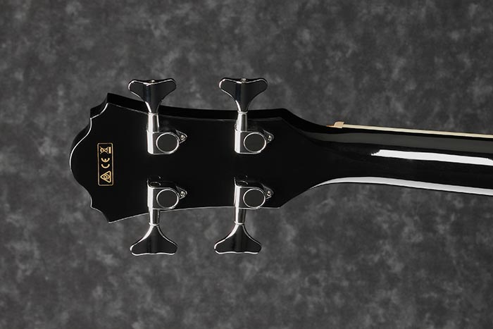 Ibanez AEB8EBK Aco Bass